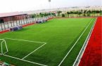 ۱۰ هزار نفر در رشته مینی فوتبال ورزش های همگانی فارس، ثبت شده اند